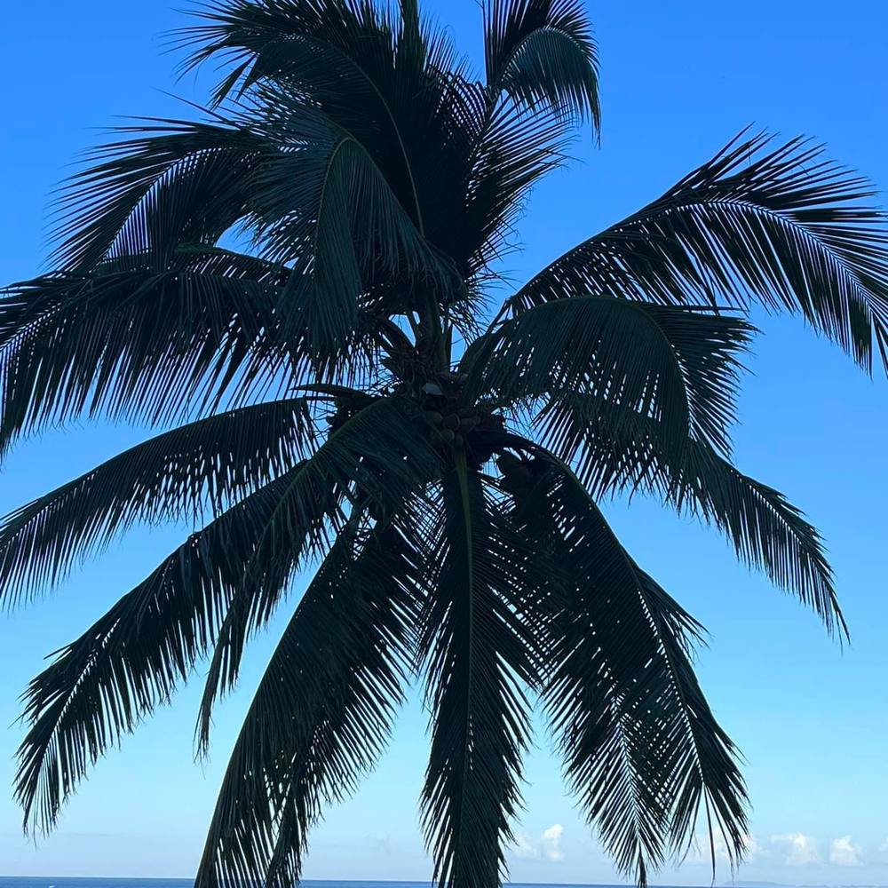 Meet your Posher, Ruth